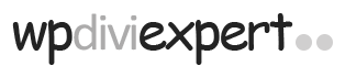 wpdiviexpert.com